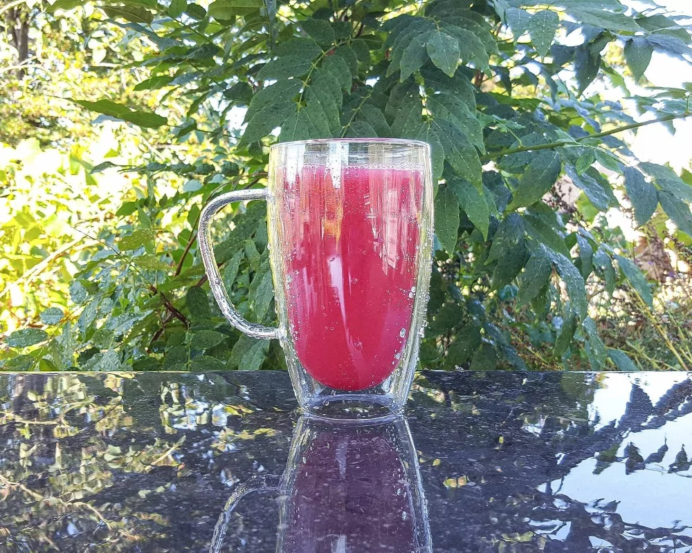 Doppelwandiges Glas mit Henkel 450 ml
