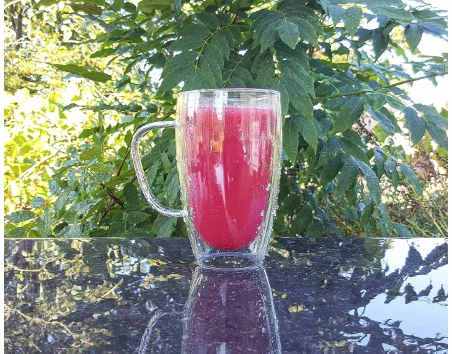 Doppelwandiges Glas mit Henkel 450 ml