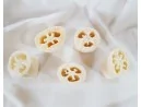 Luffa Schwamm 5er Set 7cm