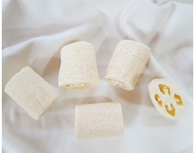 Lot de 5 éponges luffa, 7 cm