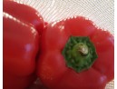 Obst und Gemüsebeutel Baumwolle 3er Set