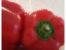 Obst und Gemüsebeutel Baumwolle 3er Set