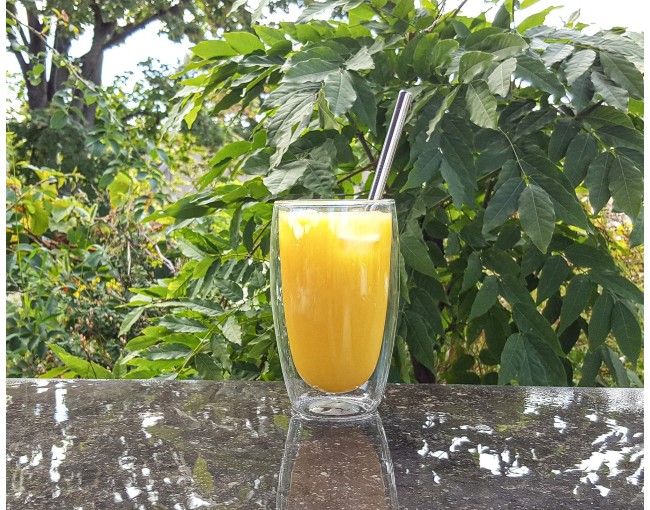 Lot de 10 pailles à boire en acier inoxydable