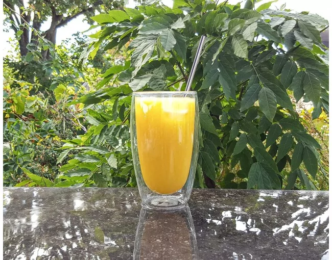 Trinkhalme aus Edelstahl 10er Set