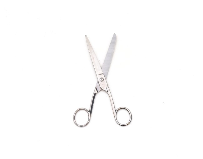 Stainless steel scissors 2 fingers 20cm