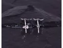 Silberohrstecker mit grossem Blattmotiv