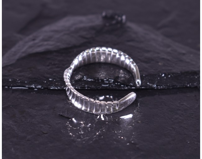 Silberring mit gedrehter Ringschiene