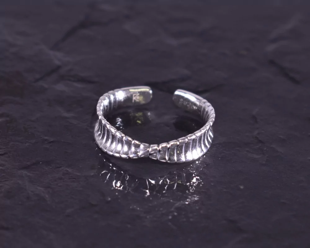 Silberring mit gedrehter Ringschiene