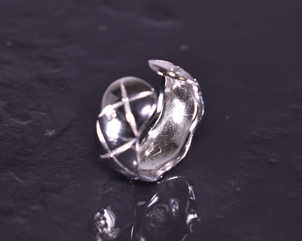 Silberring mit lebendigem Design