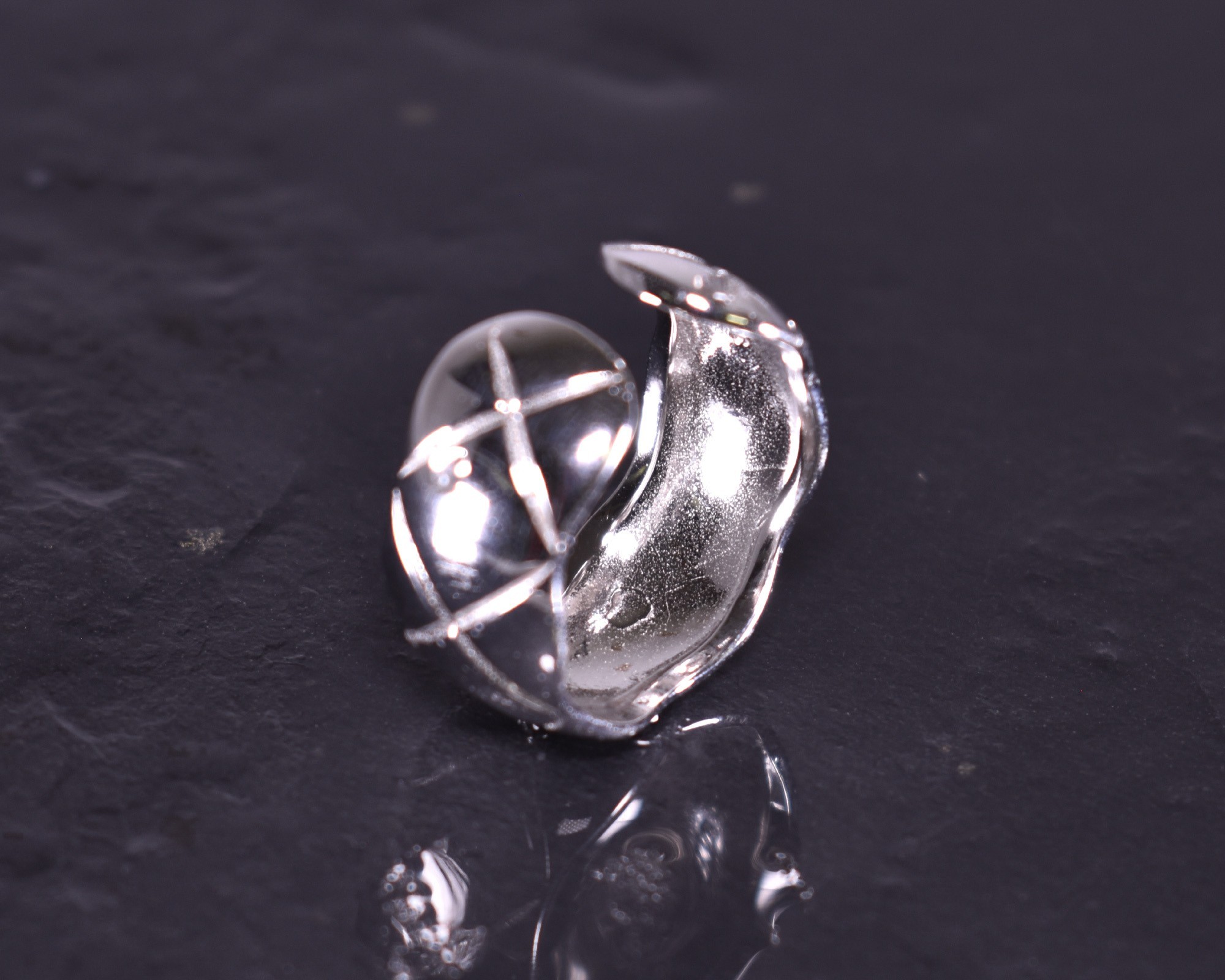 Silberring mit lebendigem Design Silberring mit lebendigem Design