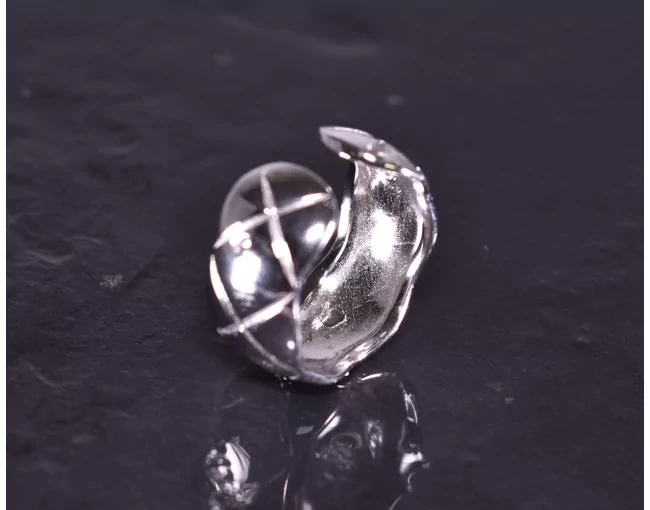 Silberring mit lebendigem Design