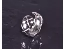 Silberring mit lebendigem Design
