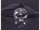 Silberring mit lebendigem Design