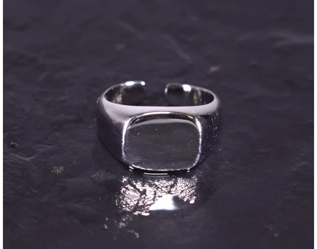 Silberring mit Siegelringdesign