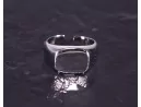 Silberring mit Siegelringdesign