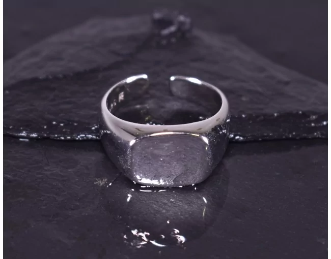 Silberring mit Siegelringdesign