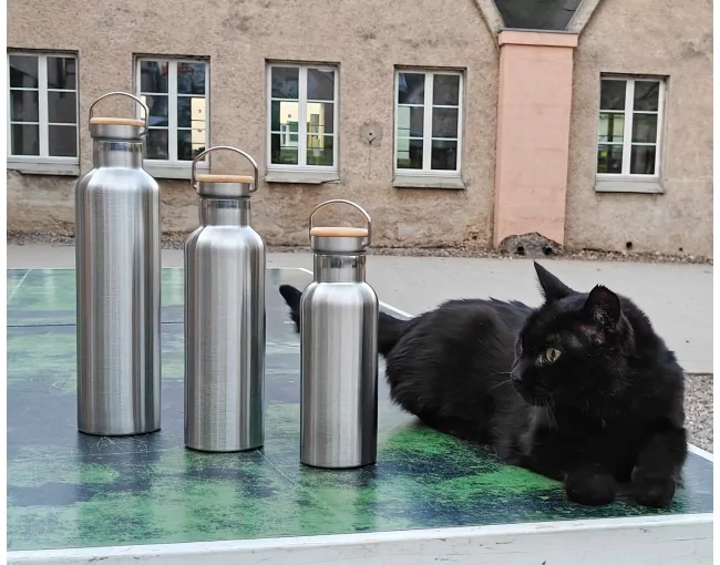Thermosflasche aus Edelstahl 750 ml